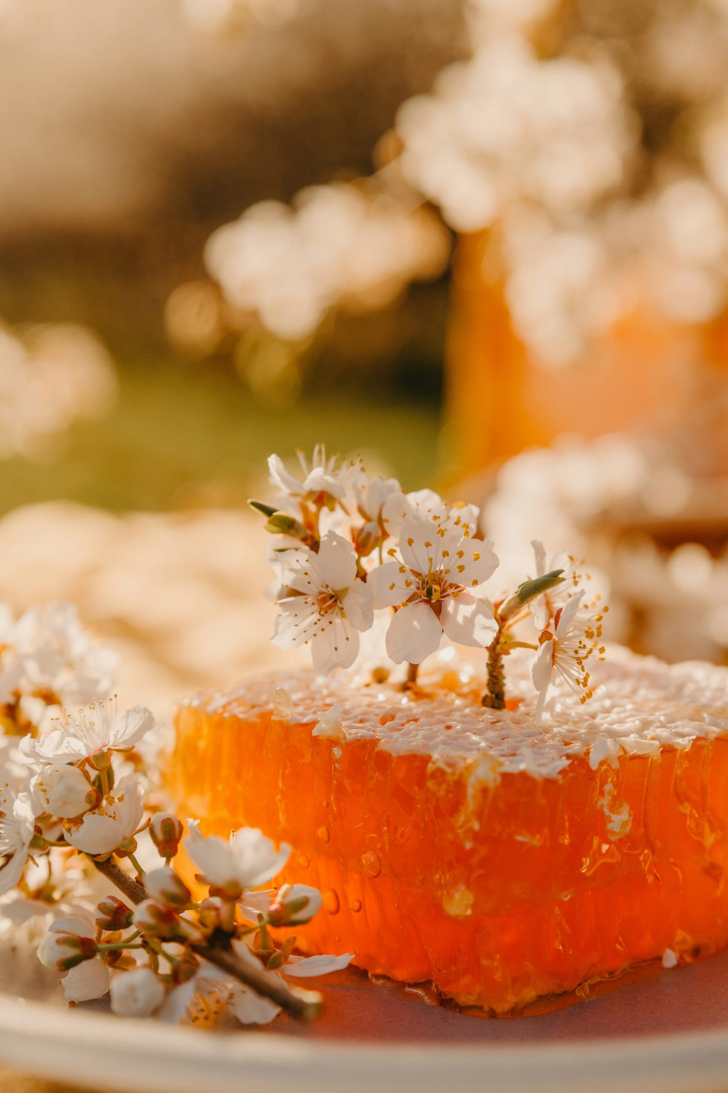 Fresh honeycomb dripping with honey, surrounded by spring blossom in warm light
